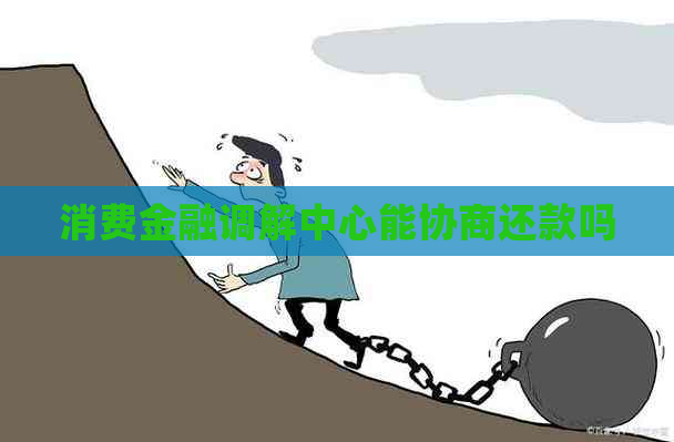 消费金融调解中心能协商还款吗