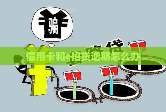 信用卡和e招贷逾期怎么办