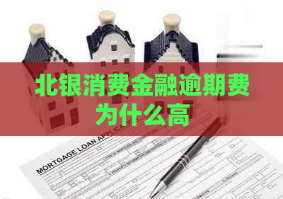 北银消费金融逾期费为什么高