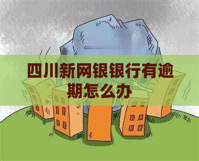 四川新网银银行有逾期怎么办