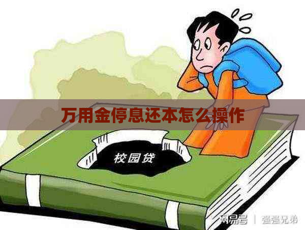 万用金停息还本怎么操作