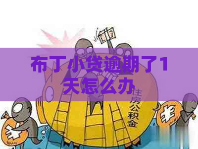 布丁小贷逾期了1天怎么办