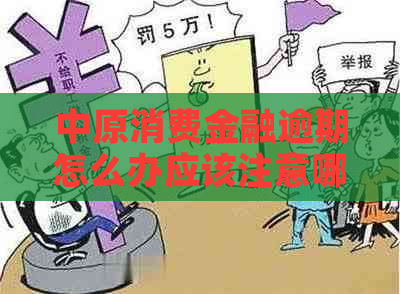 中原消费金融逾期怎么办应该注意哪些问题