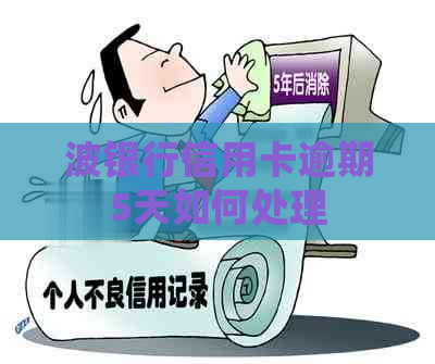 波银行信用卡逾期5天如何处理