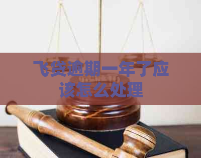 飞贷逾期一年了应该怎么处理