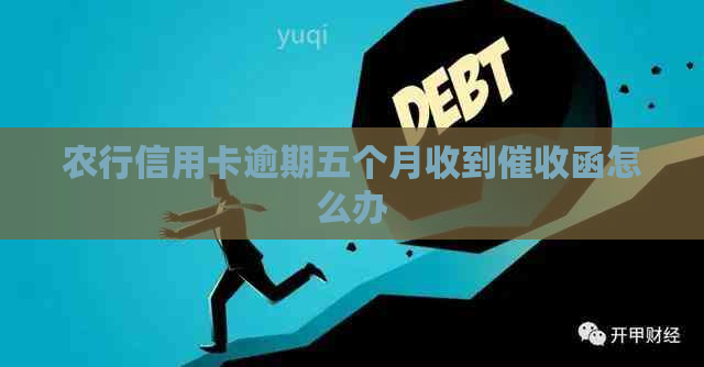 农行信用卡逾期五个月收到函怎么办