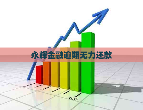 永辉金融逾期无力还款