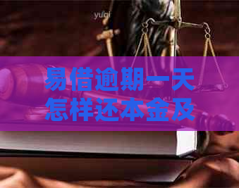 易借逾期一天怎样还本金及利息