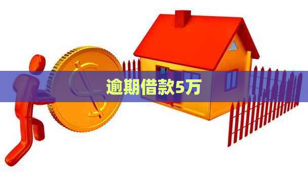 逾期借款5万