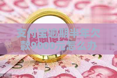 支付宝逾期半年欠款9000元怎么办