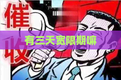 有三天宽限期嘛