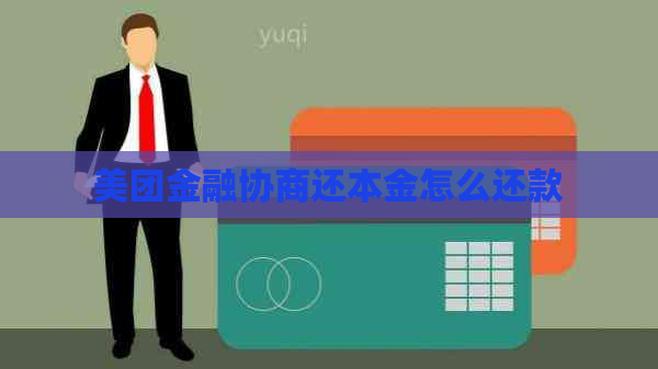 美团金融协商还本金怎么还款
