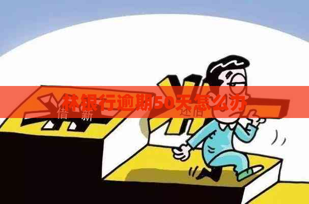 林银行逾期50天怎么办