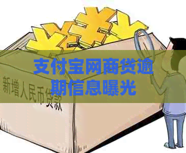 支付宝网商贷逾期信息曝光