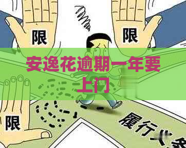 安逸花逾期一年要上门