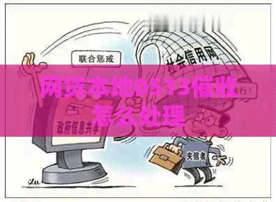 网贷本地0513怎么处理