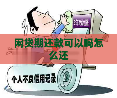 网贷期还款可以吗怎么还