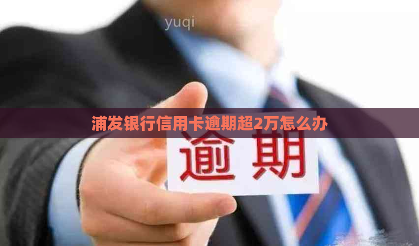 浦发银行信用卡逾期超2万怎么办