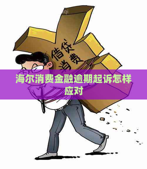 海尔消费金融逾期起诉怎样应对