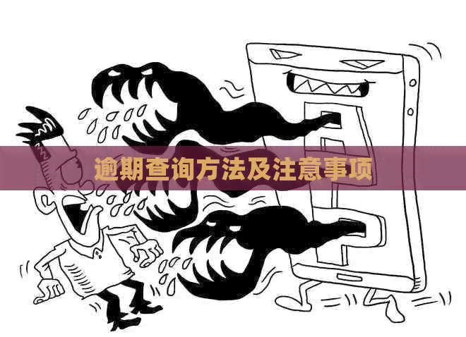 逾期查询方法及注意事项