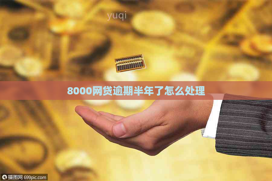 8000网贷逾期半年了怎么处理