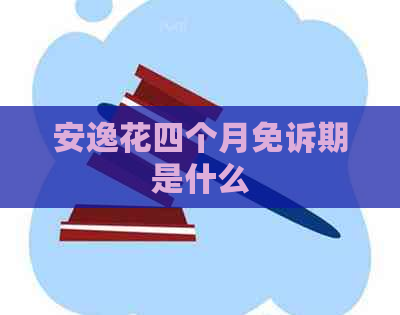 安逸花四个月免诉期是什么