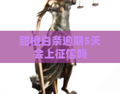 甜橙白条逾期5天会上吗