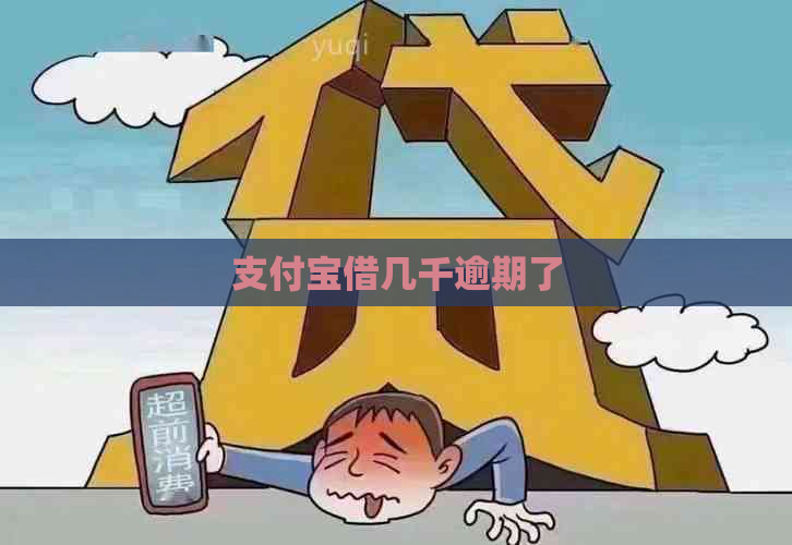 支付宝借几千逾期了