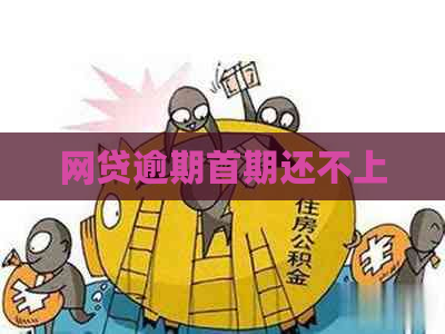 网贷逾期首期还不上