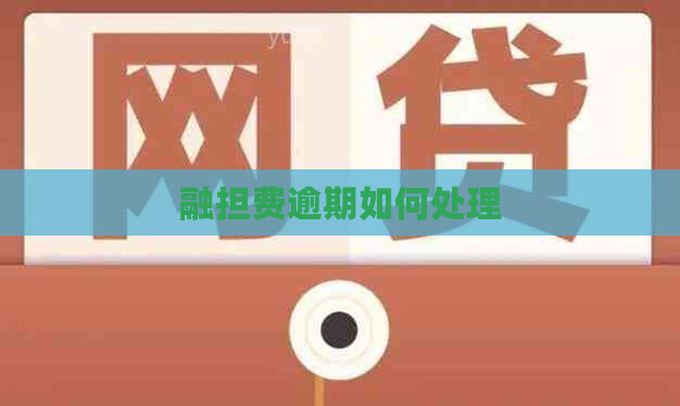 融担费逾期如何处理