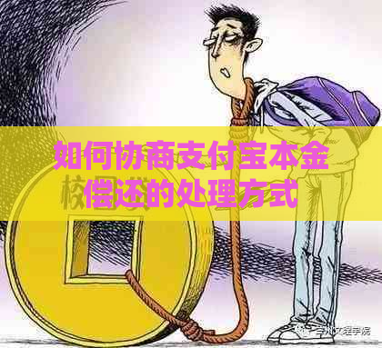 如何协商支付宝本金偿还的处理方式