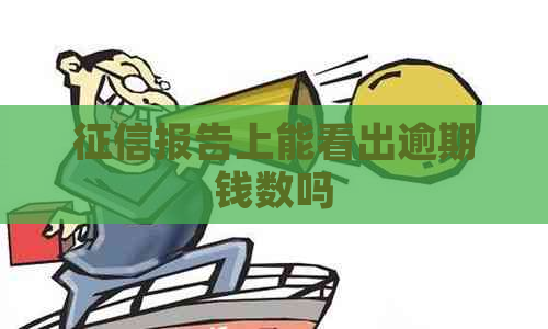 报告上能看出逾期钱数吗