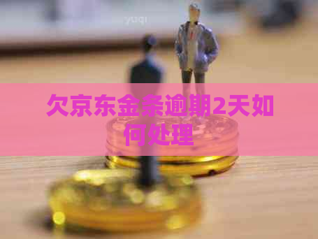 欠京东金条逾期2天如何处理