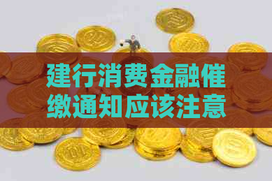建行消费金融催缴通知应该注意什么事项