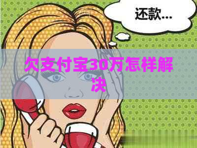 欠支付宝30万怎样解决