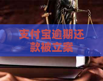 支付宝逾期还款被立案