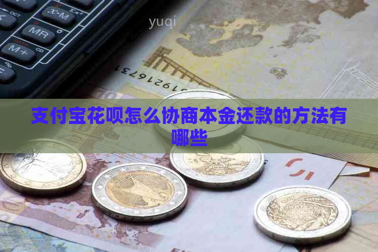 支付宝花呗怎么协商本金还款的方法有哪些