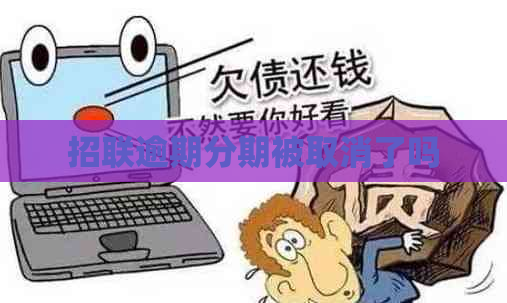 招联逾期分期被取消了吗