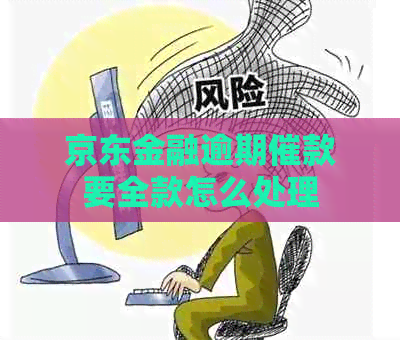 京东金融逾期催款要全款怎么处理