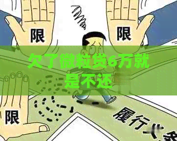 欠了微粒贷6万就是不还