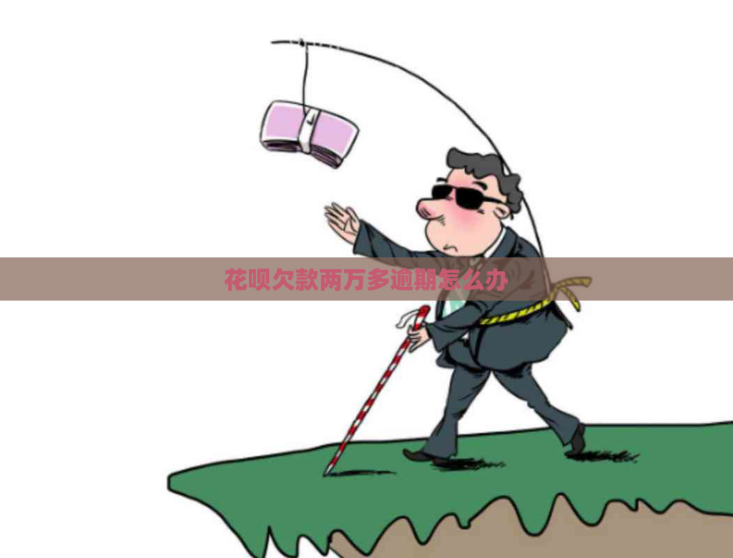 花呗欠款两万多逾期怎么办
