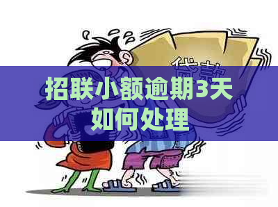 招联小额逾期3天如何处理