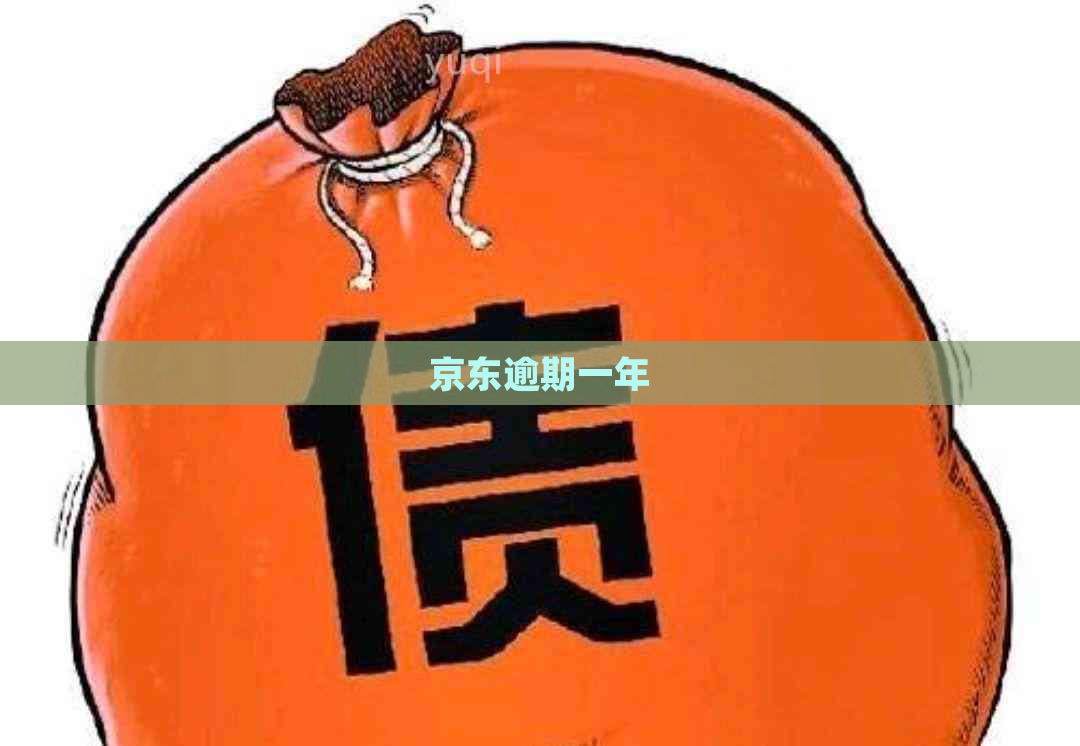 京东逾期一年