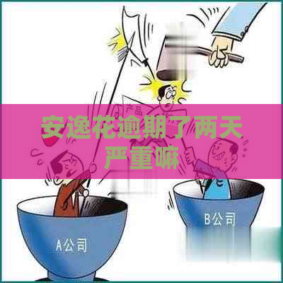 安逸花逾期了两天严重嘛