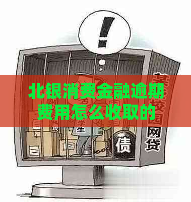 北银消费金融逾期费用怎么收取的