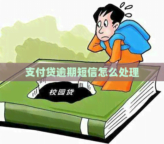 支付贷逾期短信怎么处理