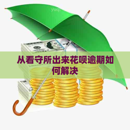 从看守所出来花呗逾期如何解决