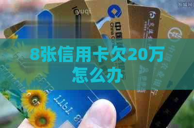 8张信用卡欠20万怎么办