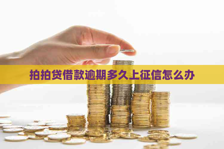 借款逾期多久上怎么办