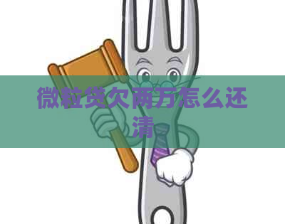 微粒贷欠两万怎么还清